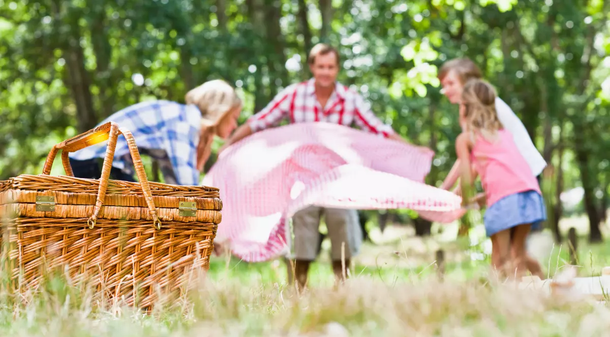 În imagine sunt ilustrați patru oameni care întind o pătură, la picnic, în pădure