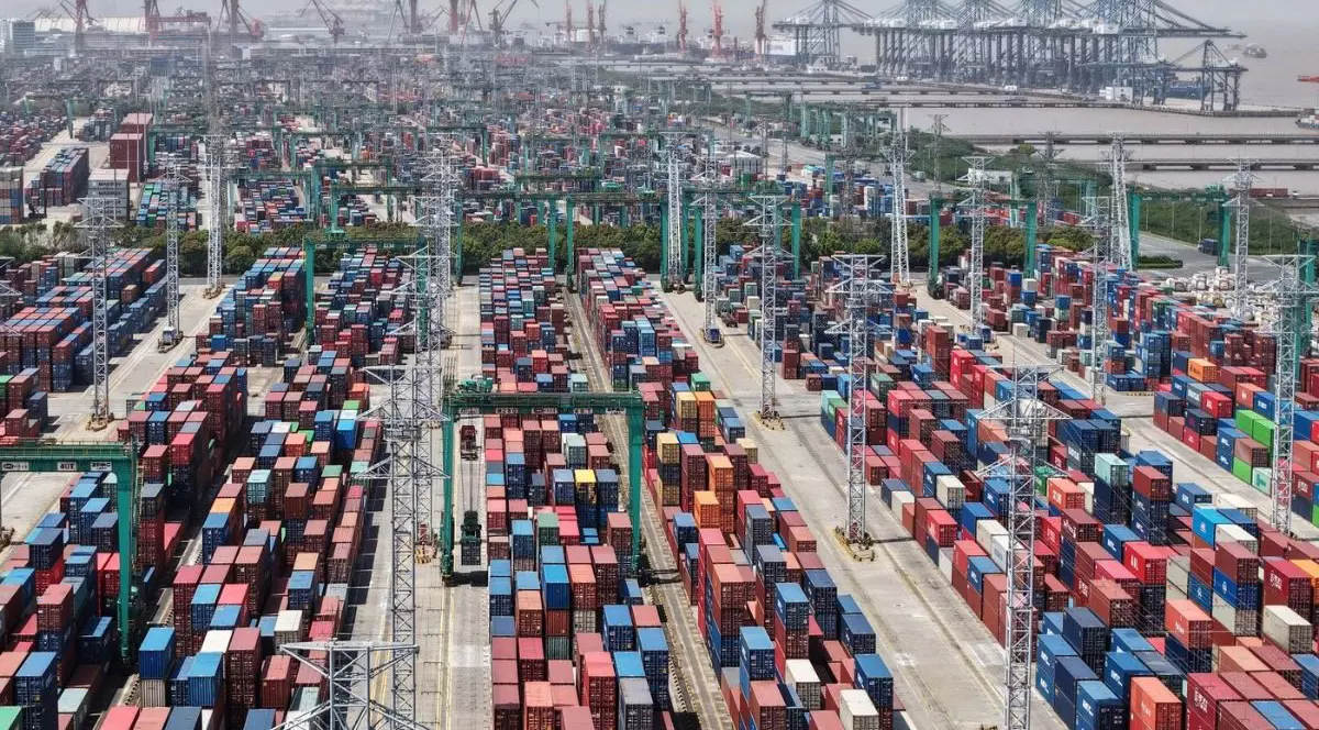 Terminal de containere din Shanghai Foto: Profimedia