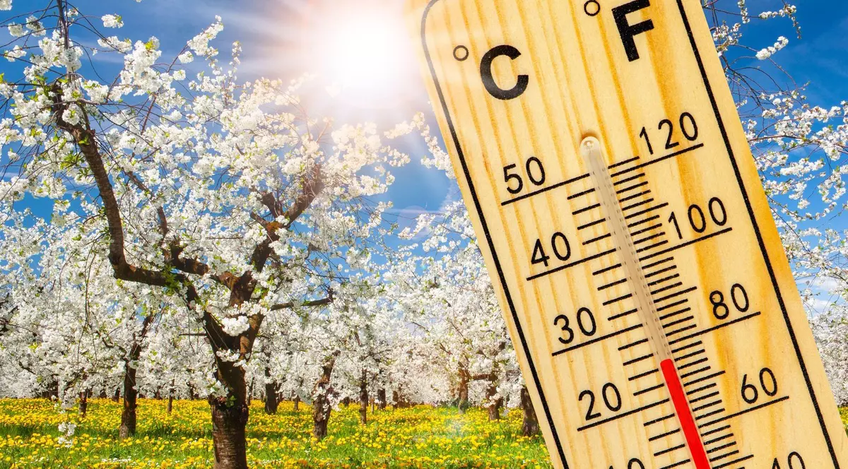 Poză cu un termometru din lemn, iar pe fundal sunt copaci înfloriți și soare.