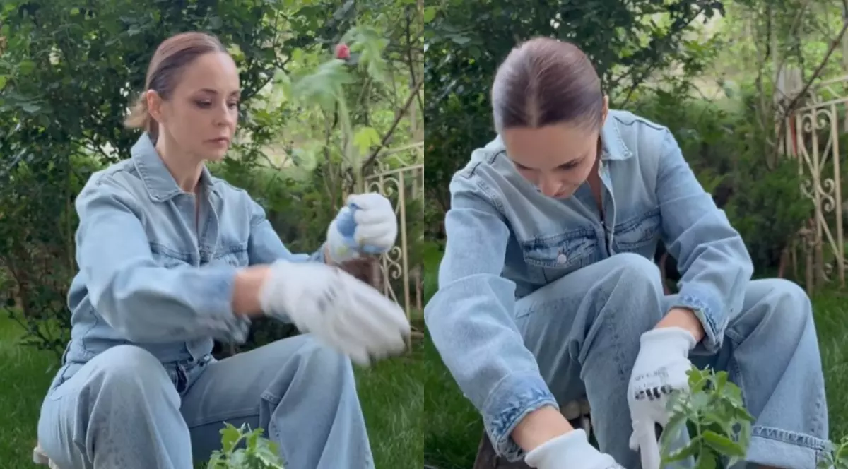 Andreea Marin a plantat roșii în grădina sa