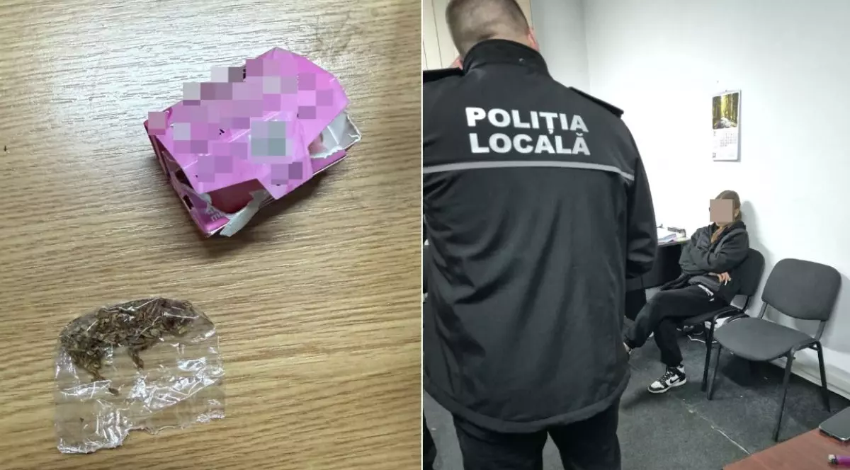 Colaj cu fotografii oferite de Politie, in stanga droguri găsite asupra unor tineri, in dreapta un politist cu spatele discutand cu o tânără cu fata acoperita, care sta pe scaun