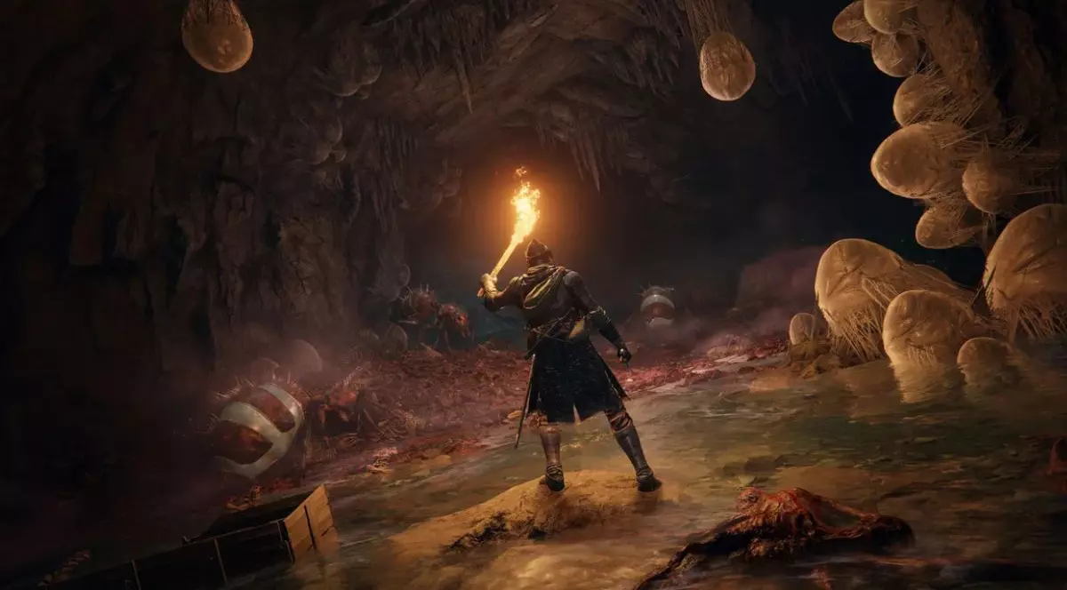 O imagine din jocul Elden Ring care înfățișează personajul principal într-o peșteră.