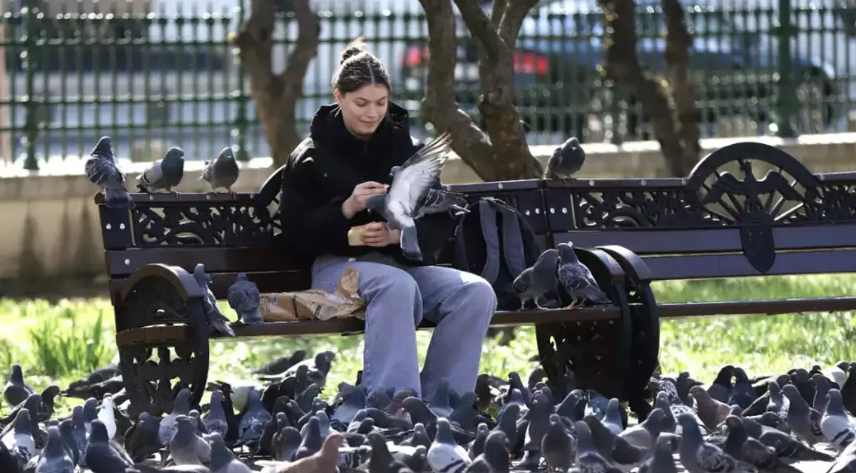 În imagine este ilustrată o fată care stă pe o bancă, în parc. Lângă aceasta se află mai mulți porumbei