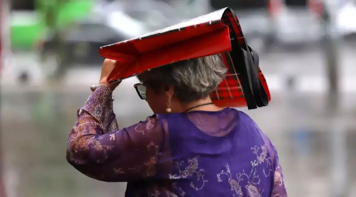 În imagine este ilustrată o femeie care se acoperă de ploaie cu o plasă.