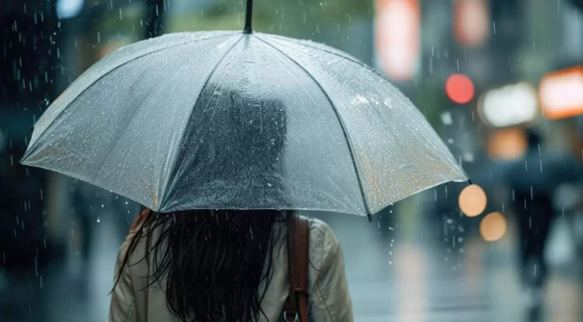 În imagine este ilustrată o femeie care ține o umbrelă de ploaie