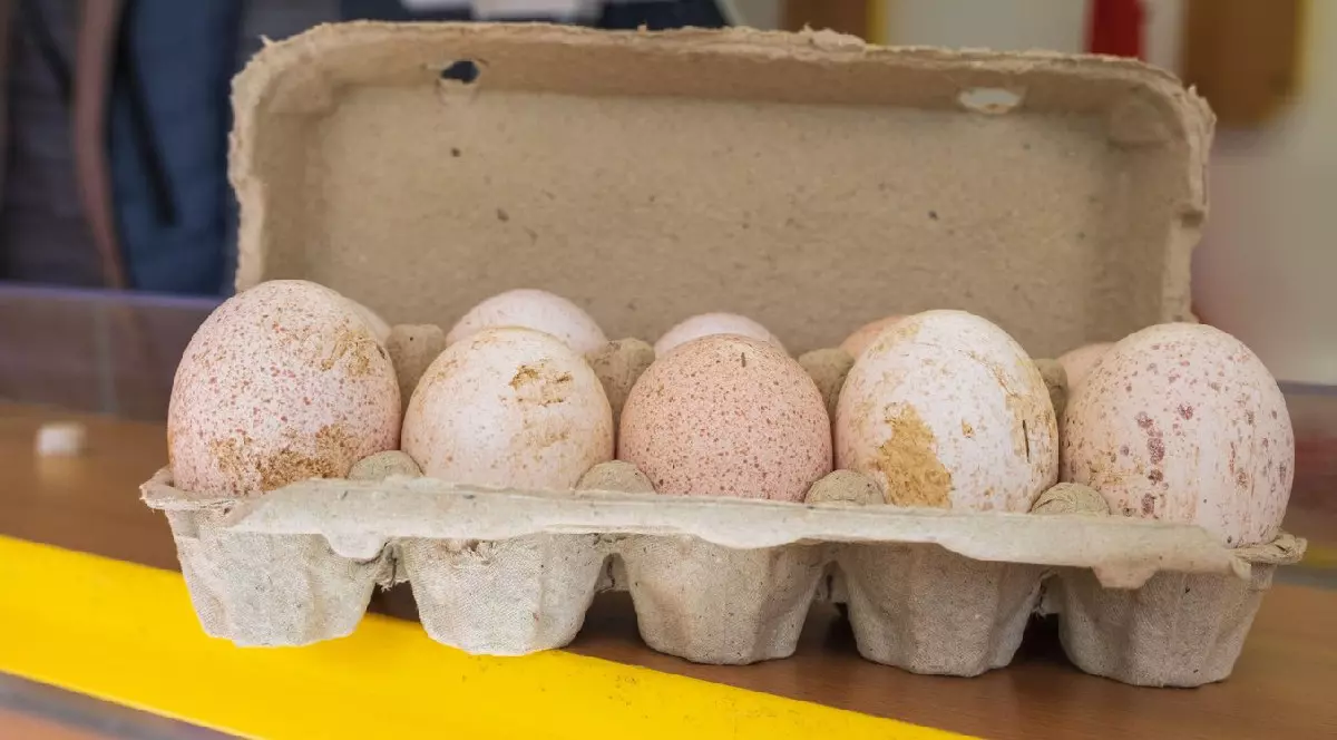 Ouă de curcan puse într-o cutie. Ouă proaspete ecologice. Piața gospodinelor. Produse ale fermierilor de vânzare.