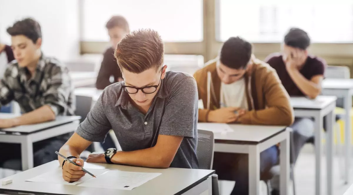 Programă Română Evaluare Națională 2025 - Materia de studiu