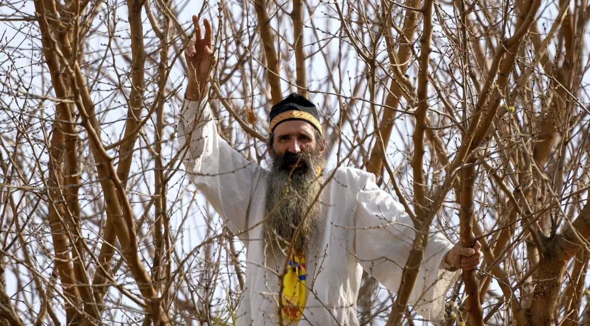 Protestatarul Cezar Avramuta, cunoscut ca “stegarul dac”, intr-un copac din curtea Arestului Central al Capitalei, in luna martie