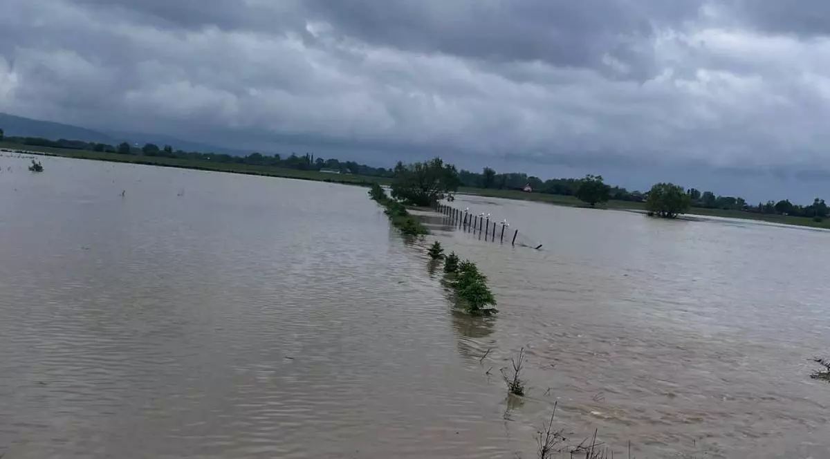 Terenurile agricole inundate în județul Covasna.