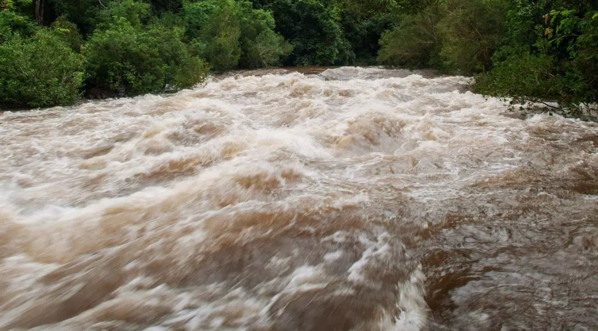 Puhoaie de ape și inundații în prim-plan, iar în spate se văd copaci, în județele Botoșani și Iași