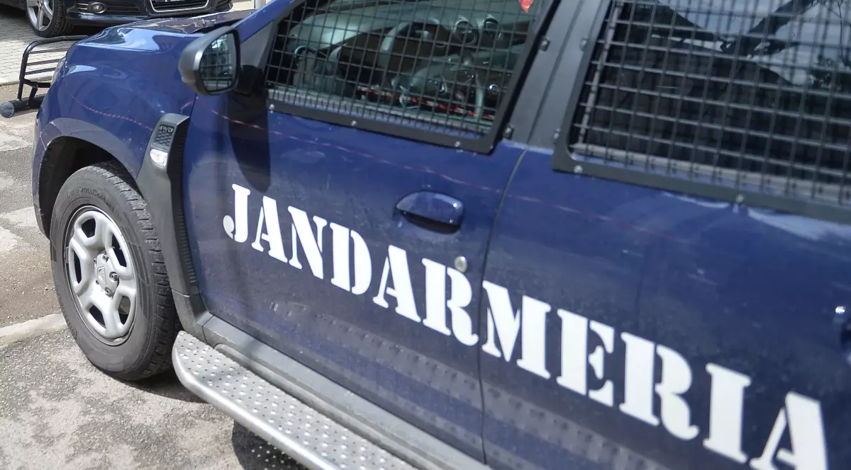 În imagine este ilustrată o dubă de jandarmerie