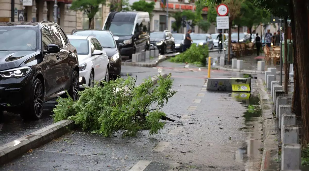 O creangă de copac căzută pe trotuar, un panou cu oferta unui restaurant dărâmat pe jos de furtună, în spate se mai vede o altă creangă ruptă din copac și oameni pe trotuar, iar în stânga sunt mașini pe stradă, în București, după o furtună, 13 martie 2025
