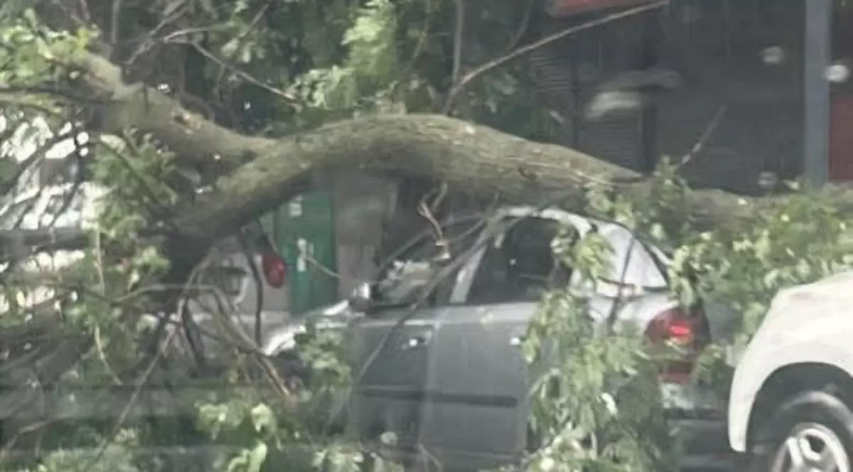 Furtună puternică în București. Foto Meteoplus