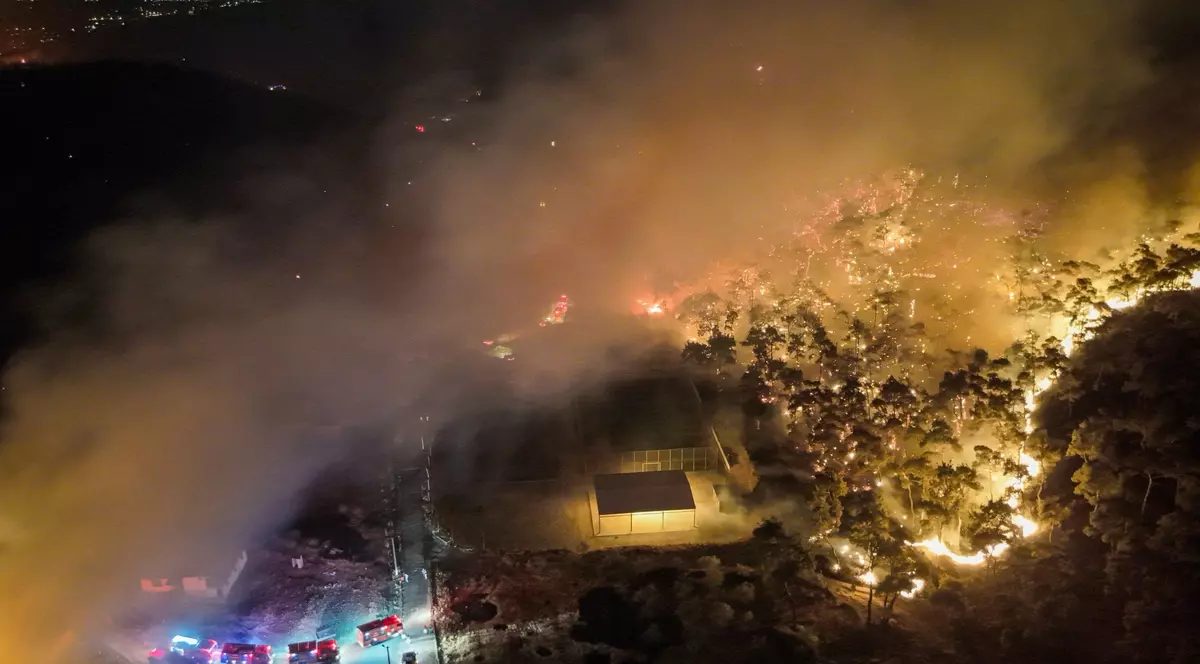 Incendiu în districtul Aliaga din provincia Izmir Foto: Hepta