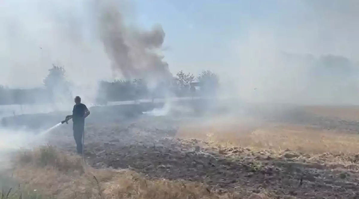 Un pompier încearcă să stingă focul. În jurul lui arde vegetația cu fum abundent