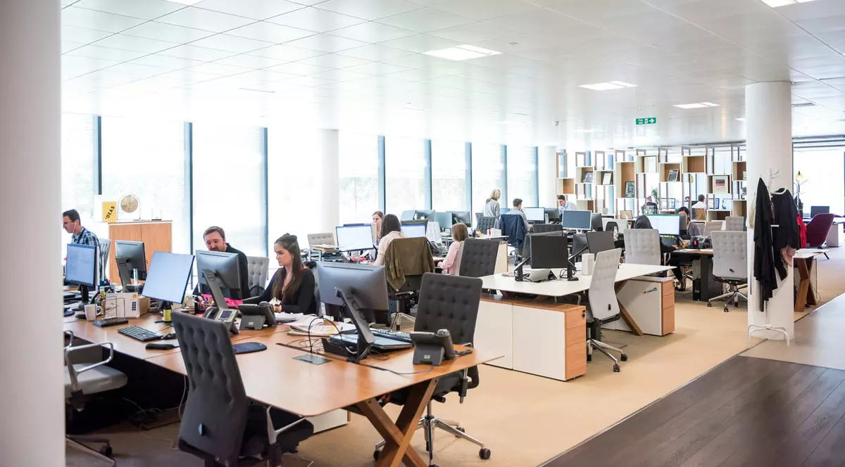 Limbile străine, tot mai căutate de angajatori