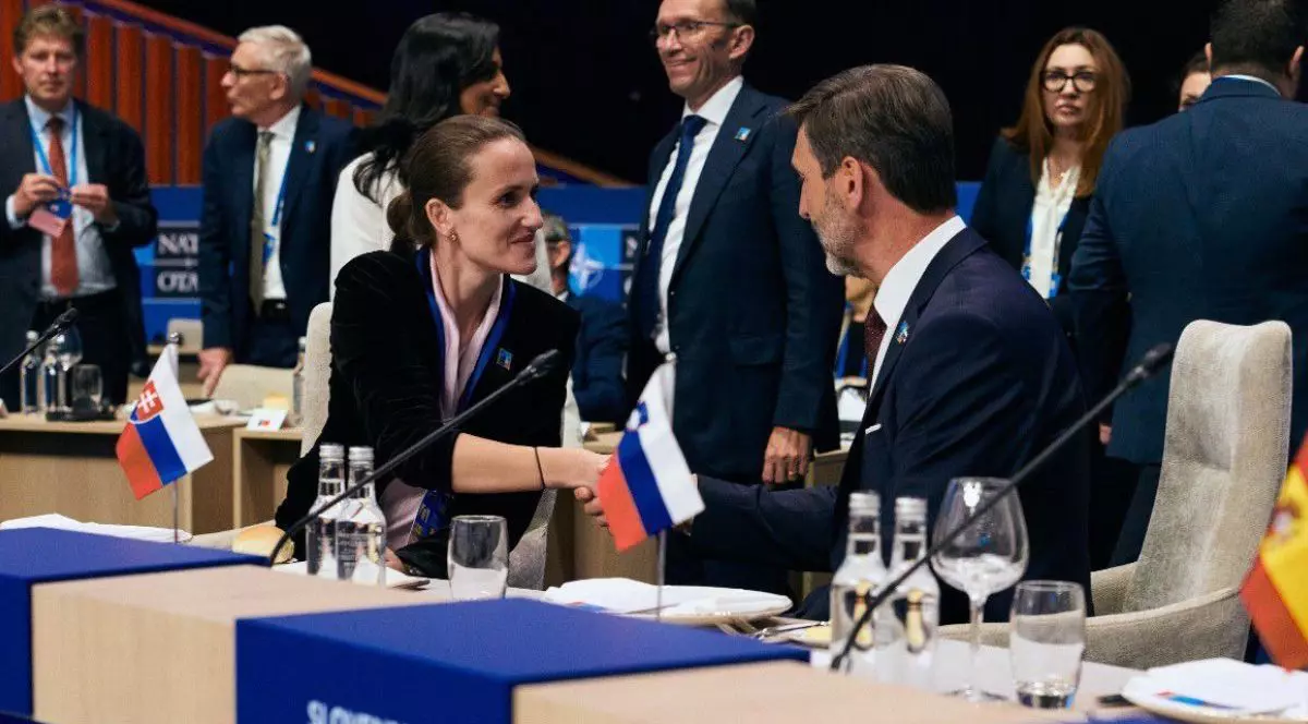 Ministrul afacerilor externe Oana Țoiu la reuniunea Consiliului NATO – Ucraina, 25 iunie 2025