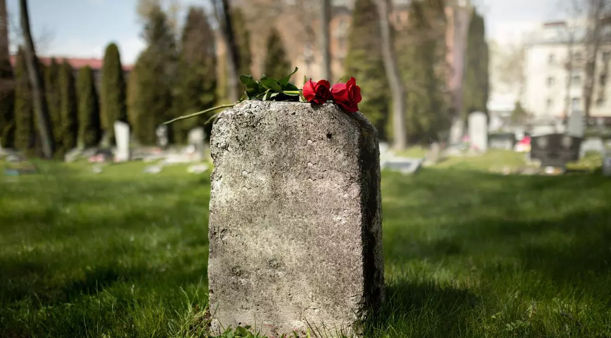 Piatra funerară veche, fără text, deasupra căreia este așezat un fir de trandafir roșu, într-un cimitir cu verdeață