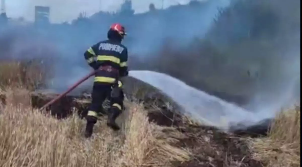 Imagine cu un pompier care ține în mâini un furtun și care stinge un incendiu produs într-un lan de grâu în zona Centurii de Vest a Ploieștiului