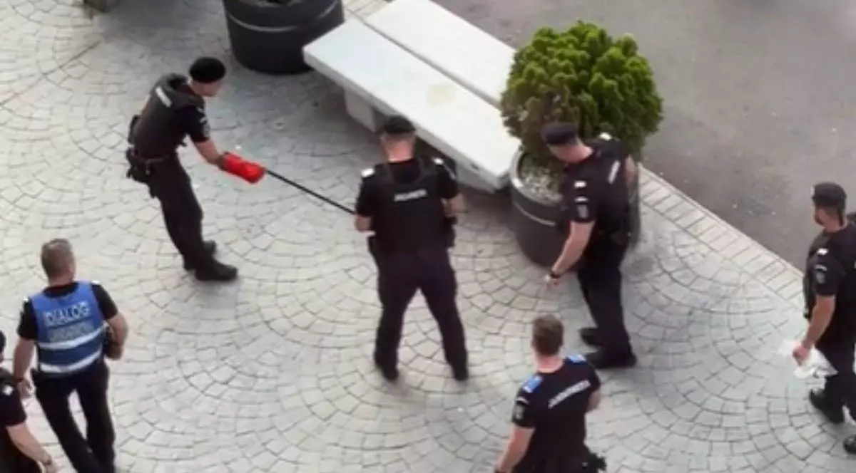 Imagine cu un polițist care încearcă să prindă șarpele de pe Calea Victoriei. El este înconjurat de mai mulți colegi