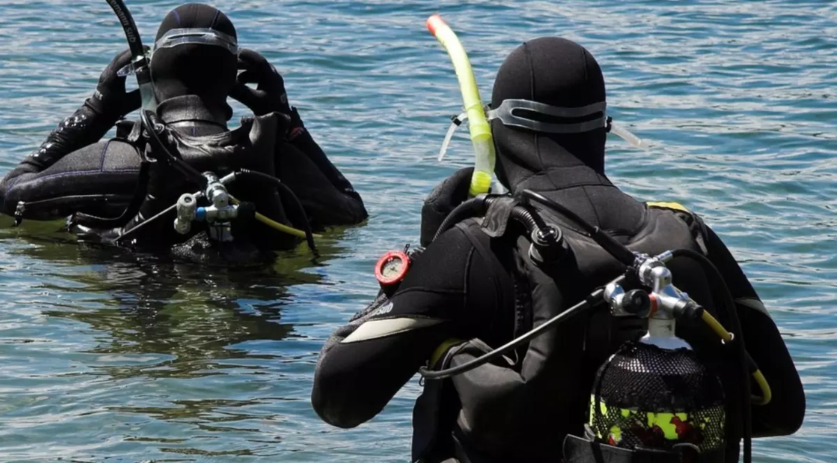 În imagine sunt ilustrați doi scafandri