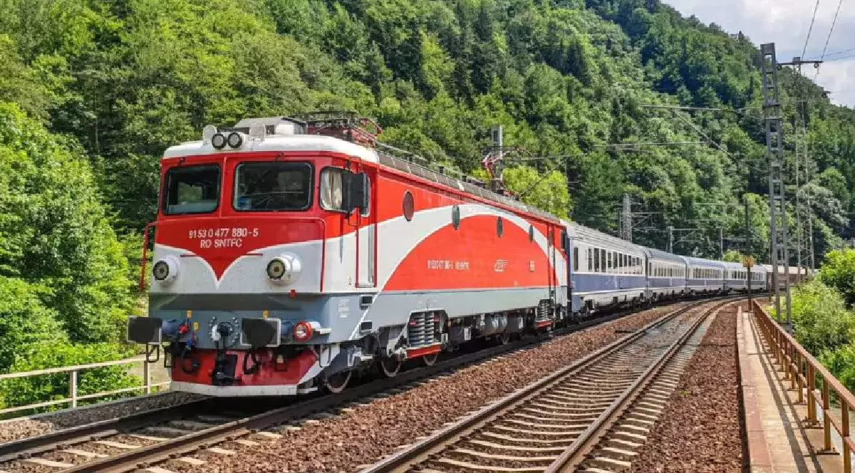 Un tren alb și roșu circulă pe lângă o pădure