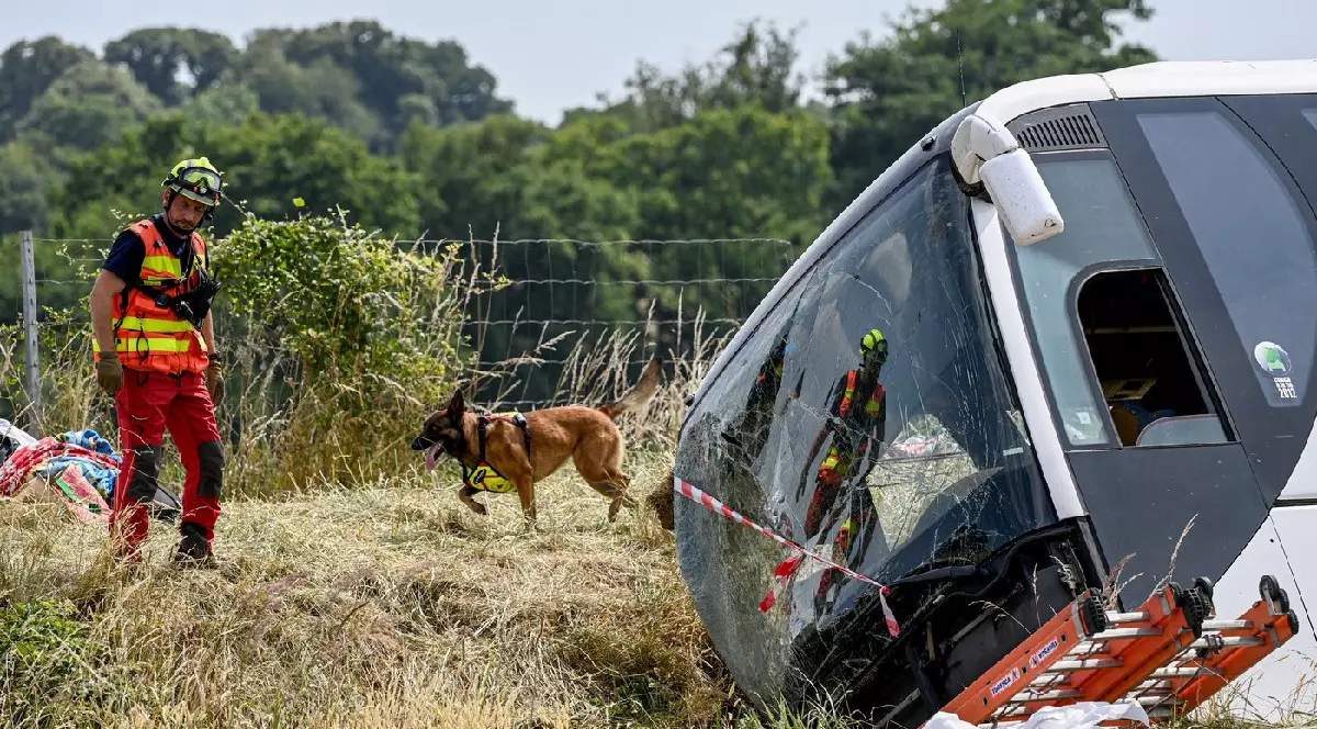 Un conductor de câini din cadrul Serviciului departamental de incendii și salvare din departamentul Maine-et-Loire intervine asupra autocarului avariat la locul accidentului mortal de pe autostrada A81 din Degre, în nord-vestul Franței, la 13 iunie 2025.