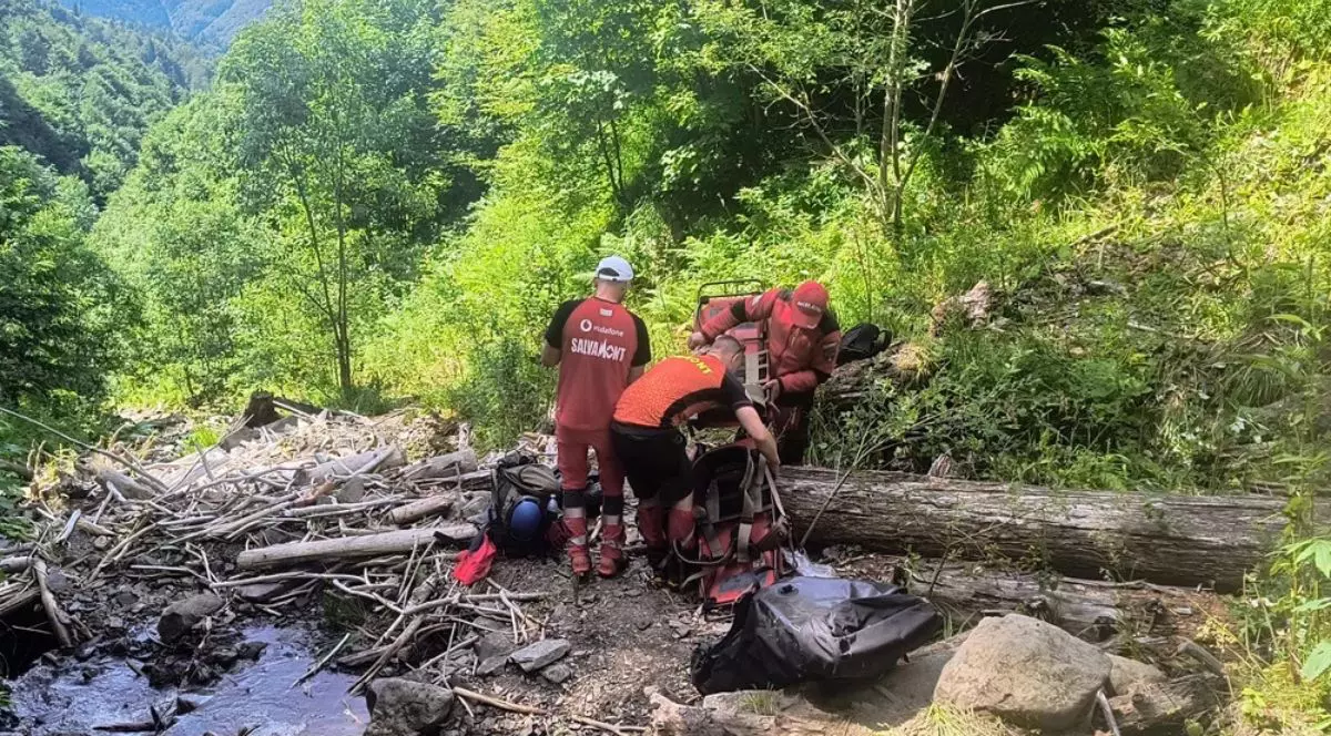 trei salvamontiști îmbrăcați în echipament roșu, cu textul salvamont pe spate, scris în font gros alb, în mijlocul unei poteci forestiere, înconjurați de vegetație verde, lângă un buștean de lemn căzut perpendicuar pe potecă - cei trei bărbați cară echipamente de recuperare precum ghiozdane și o scară