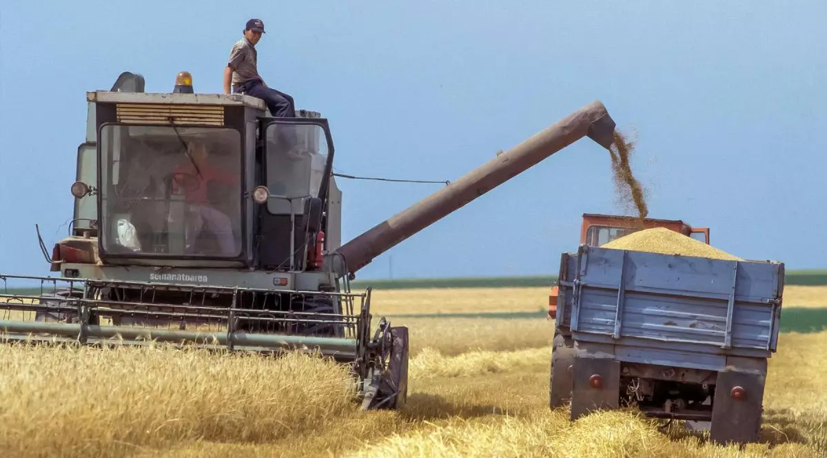 România, Tulcea, recoltarea mecanică a cerealelor, cu o combină de recoltat, un femier este urcat și sta așezat pe utilaj, iar un altul este in cabină