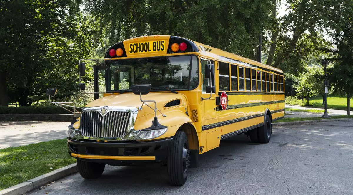 autobuz scolar american galben cu detalii negre, parcat pe marginea unui drum asfaltat și înconjurat de plante și copaci verzi