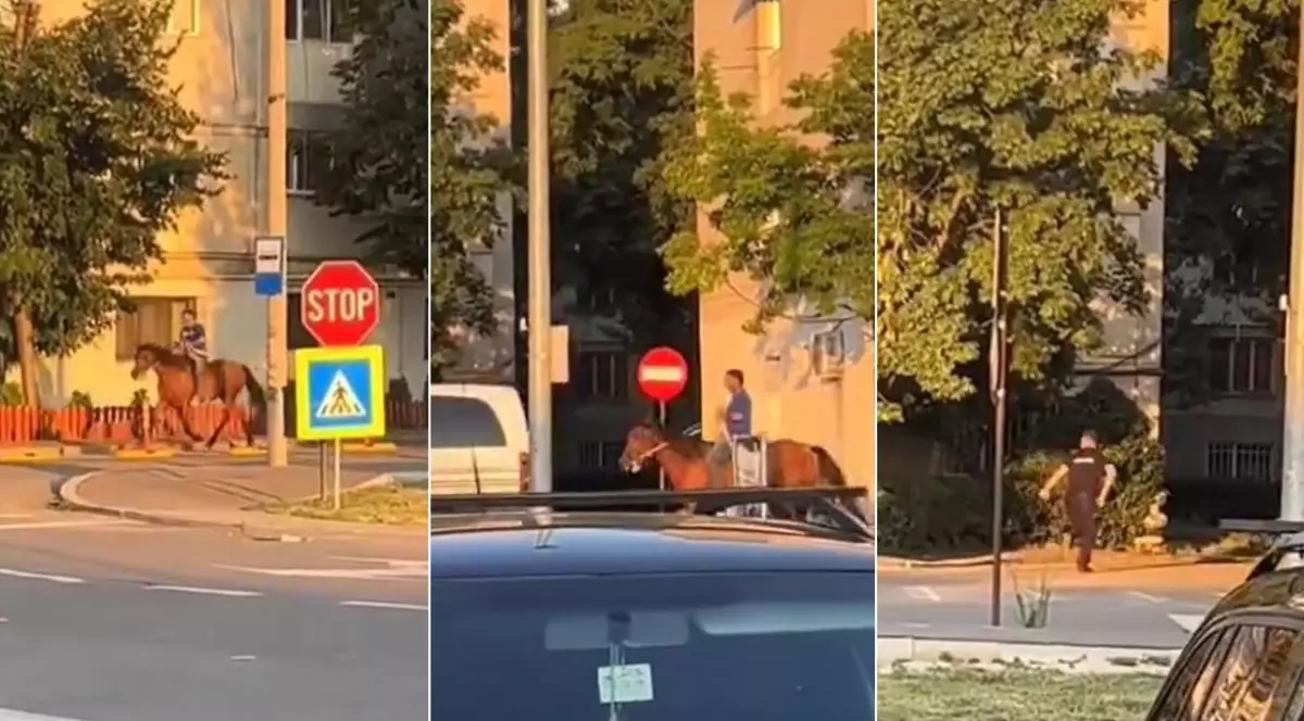 Colaj din trei fotografii cu bărbatul călare pe cal, pe o stradă din Focșani, urmărit de o mașină de Poliție, cu blocurile pe fundal