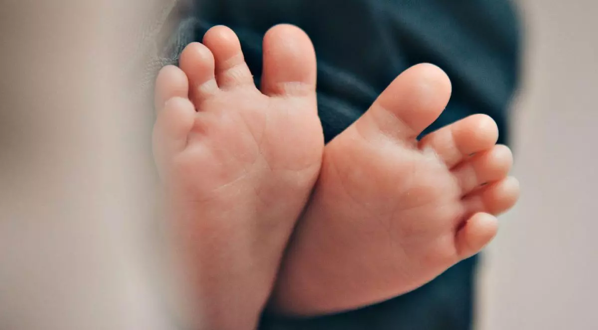 Picioarele unui nou-născut. Călcâiele, degetele unui bebeluș, un copil, inseminare artificială, FIV