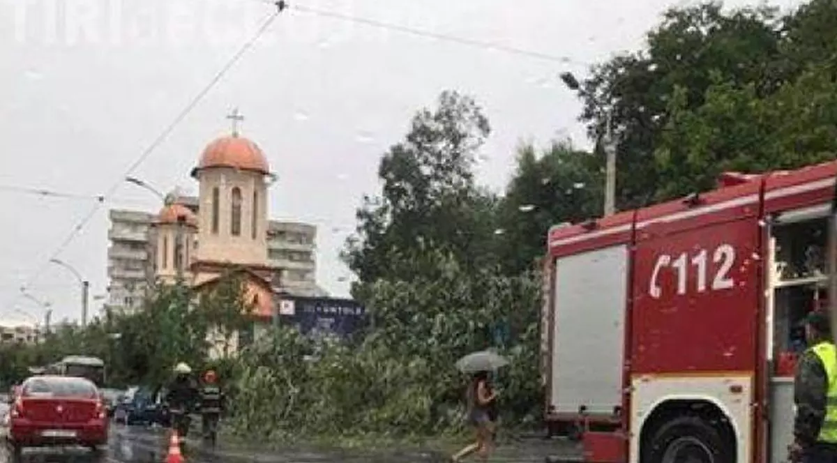 Mai multe crengi și copaci căzuți pe o stradă din Cluj, în dreapta este o mașină de intervenție de la 112, iar în depărtare se vede o biserică