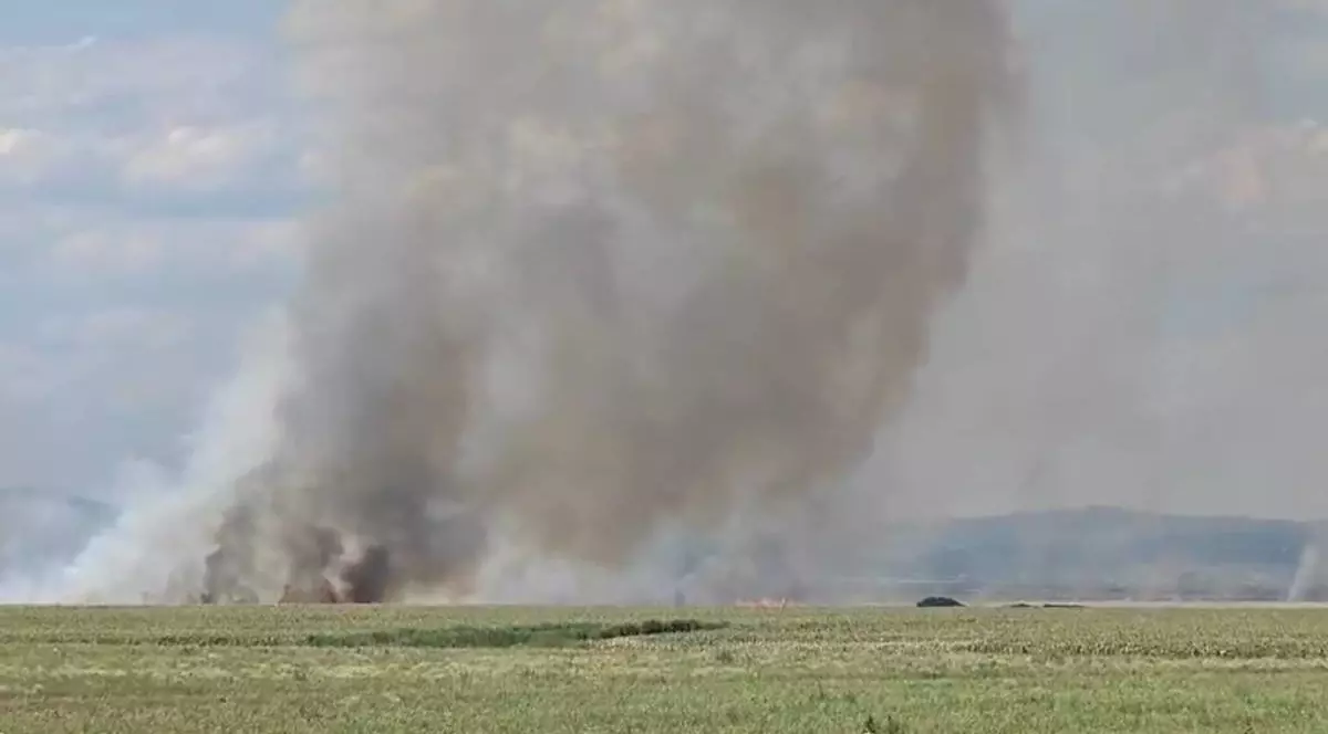 Incendiu puternic de miriște în apropiere de A7. Foto: Captură video.