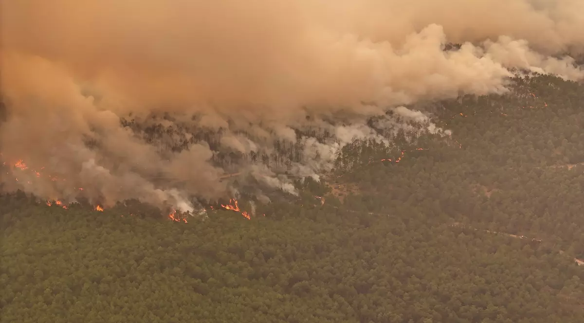 Imagine cu fumul care se ridică la cer și flăcările care au cuprins o pădure din Bursa, Turcia, pe 28 iulie 2025