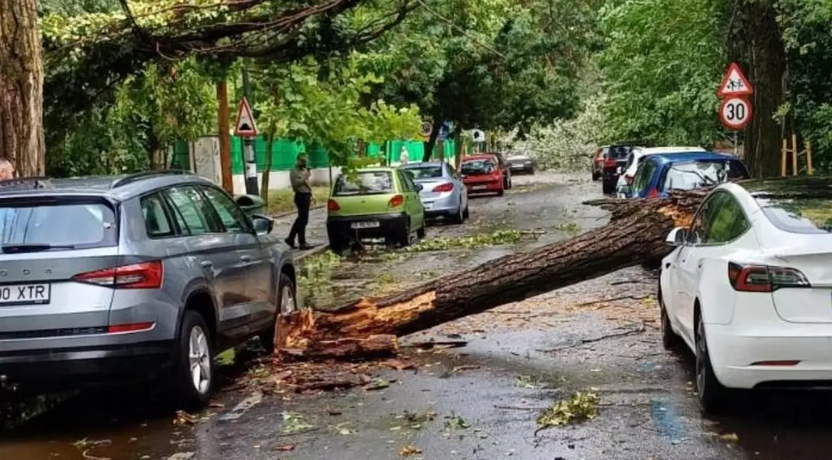 Urmările vijeliei care a făcut prăpăd în București și pe autostrada A1: o femeie a murit în Otopeni, mașini distruse de copaci, trafic îngreunat pe A1