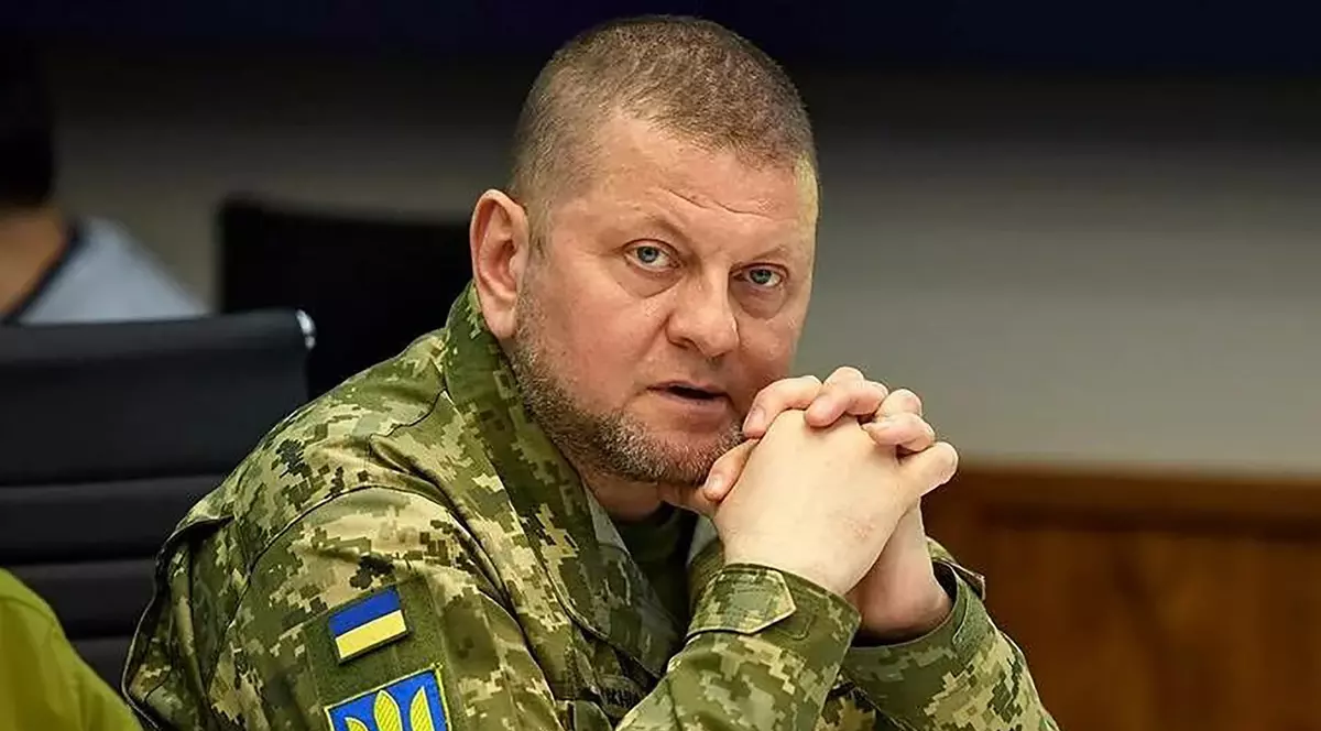 Generalul Valeri Zalujnîi Foto: Profimedia