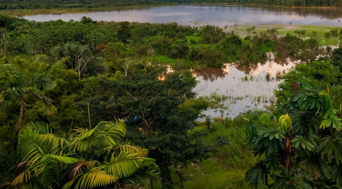 Apus de soare pe râul Javari, afluent al râului Amazon, Amazonia.
