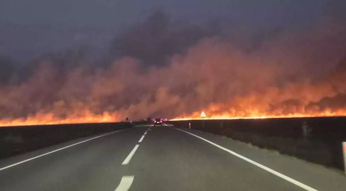 Incendiu puternic de vegetație în județul Dolj. Foto ISU Dolj