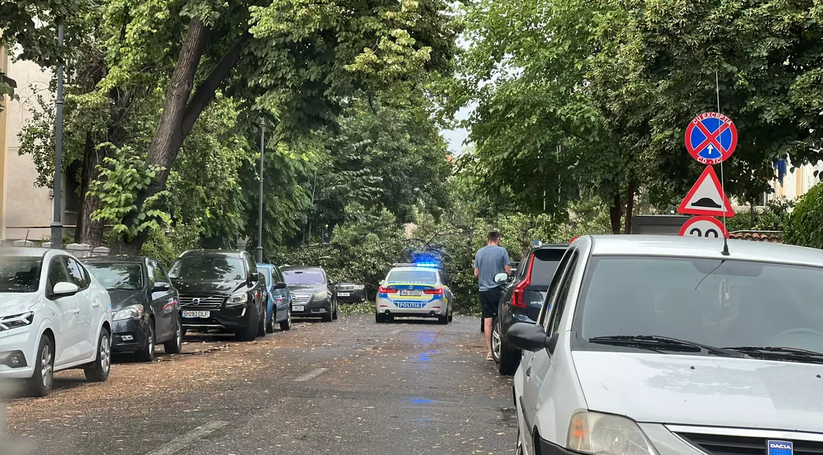 O stradă din sectorul 1, blocată de pomii căzuți. Foto Facebook Meteoplus