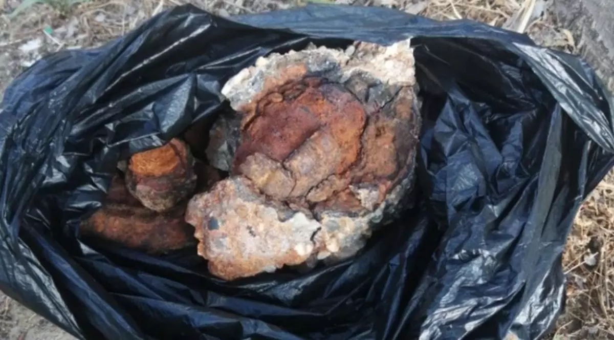 Grenada ruginită, care începe să se descompună, într-o pungă de culoare neagră