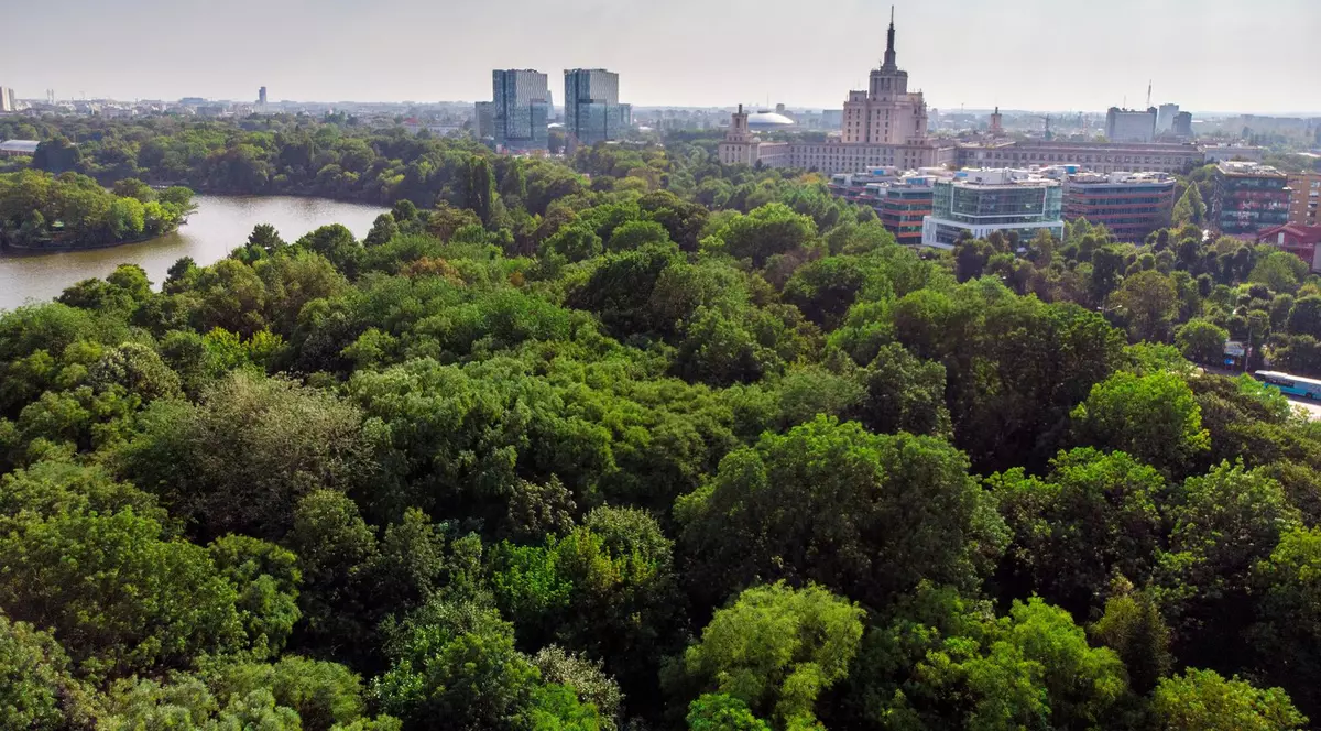 Image: 385870128, License: Royalty-free, Restrictions: , Model Release: no