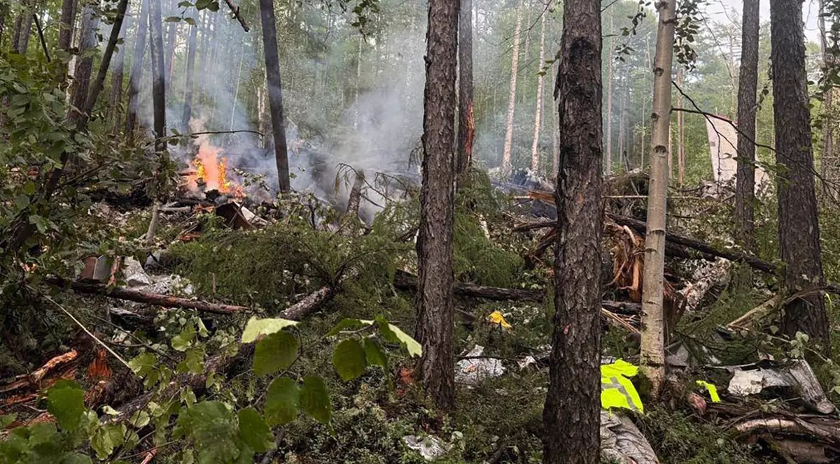 Resturi printre copaci ale avionului care s-a prăbușit în regiunea Amur Foto: Profimedia