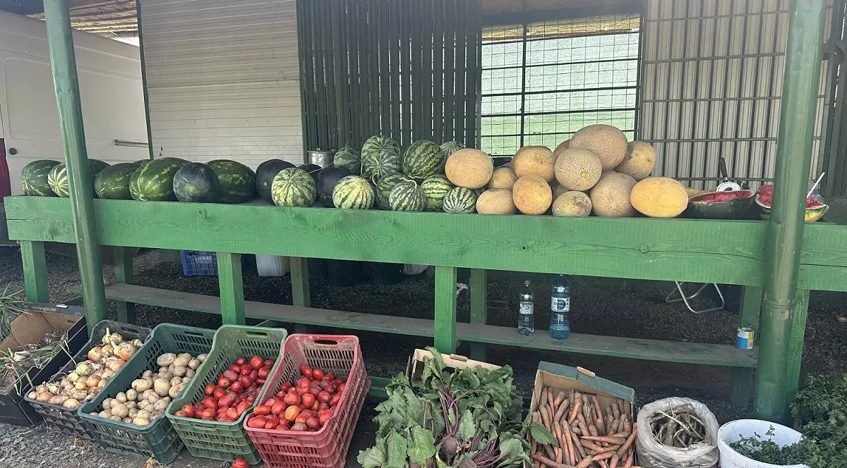 tarabă cu roșii, pepeni, ceapă, cartofi, sfeclă, morcovi în Delta Dunării