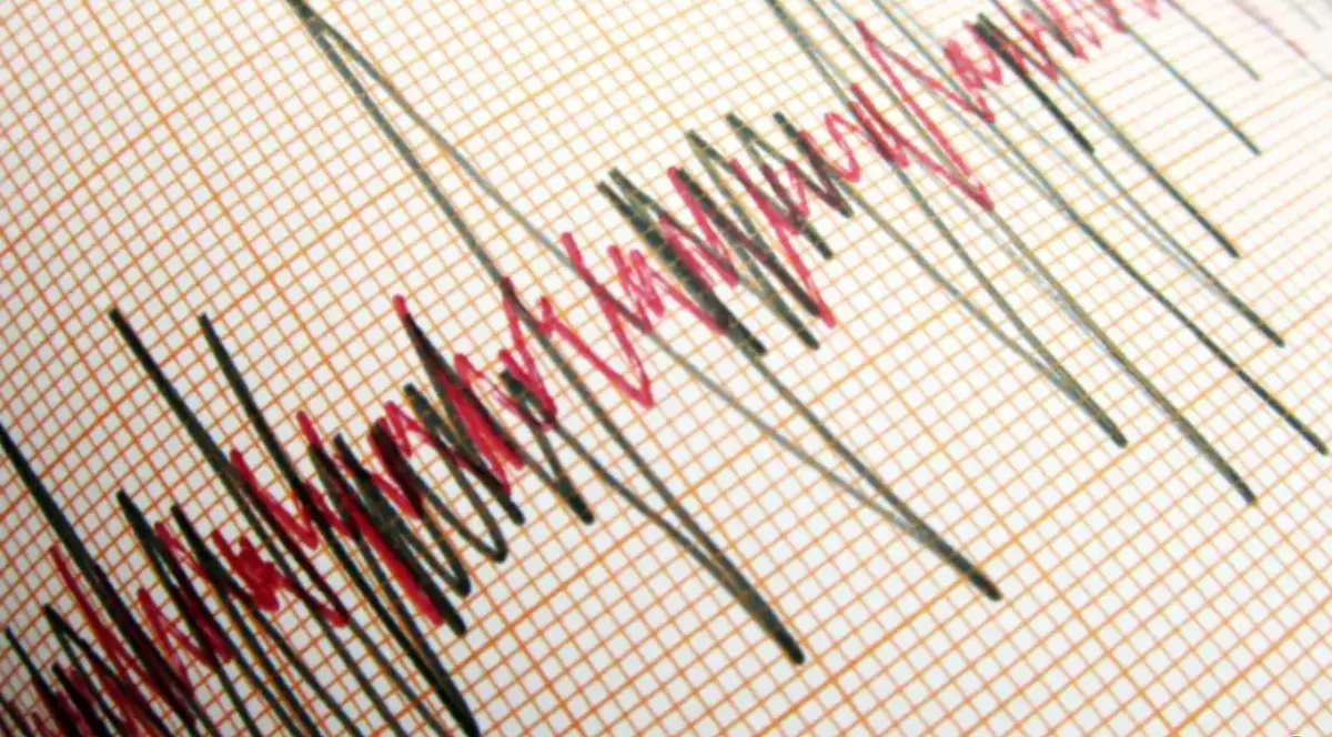 Un seismograf unde este ilustrată intensitatea unui cutremur