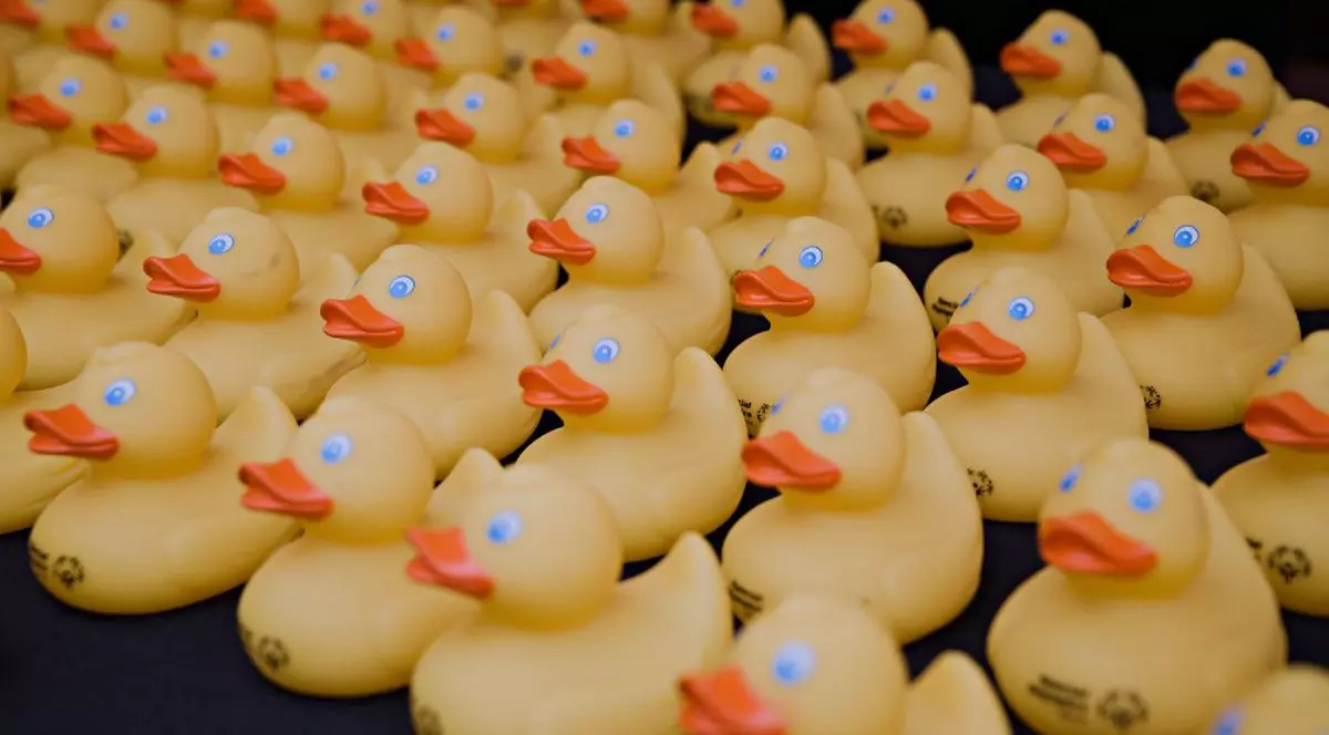 Mii de rățuște de cauciuc aleargă pe râul Chicago în timpul celei de-a 20-a ediții anuale a evenimentului Chicago Ducky Derby, strângând fonduri pentru Special Olympics Illinois, desfășurat în Chicago, Illinois, pe 7 august 2025
