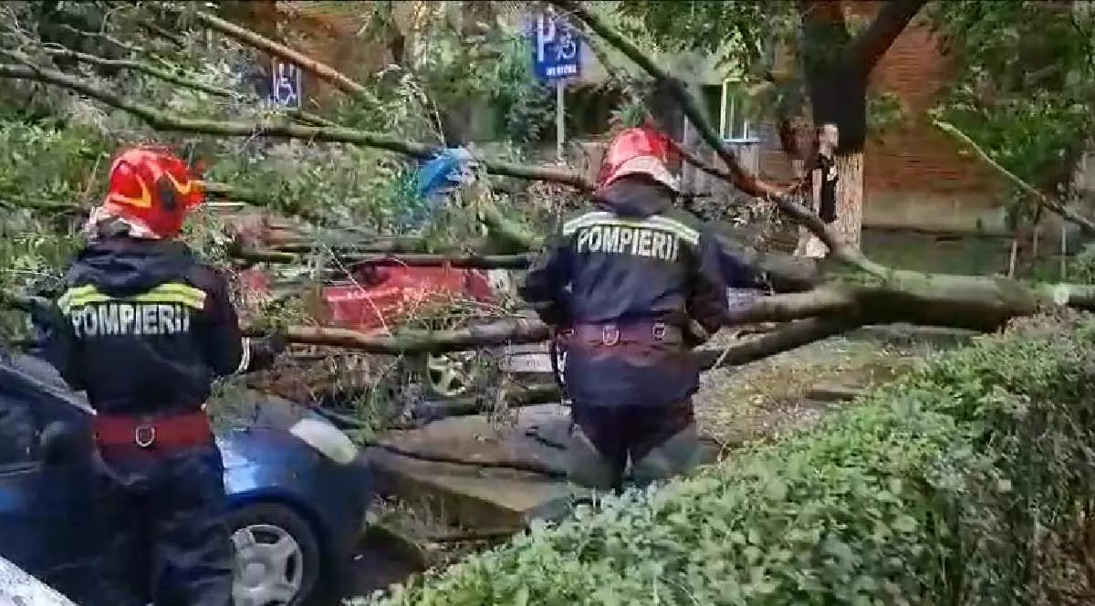 Doi pompieri au intervenit după ce un copac a căzut pe mașini în urma unei furtuni