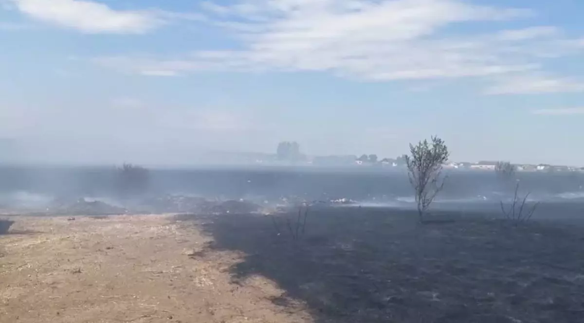 Incendiu de vegetație lângă Craiova, câmpul a ars complet, iar prin norul gros de fum se văd câteva dintre locuințele din apropiere