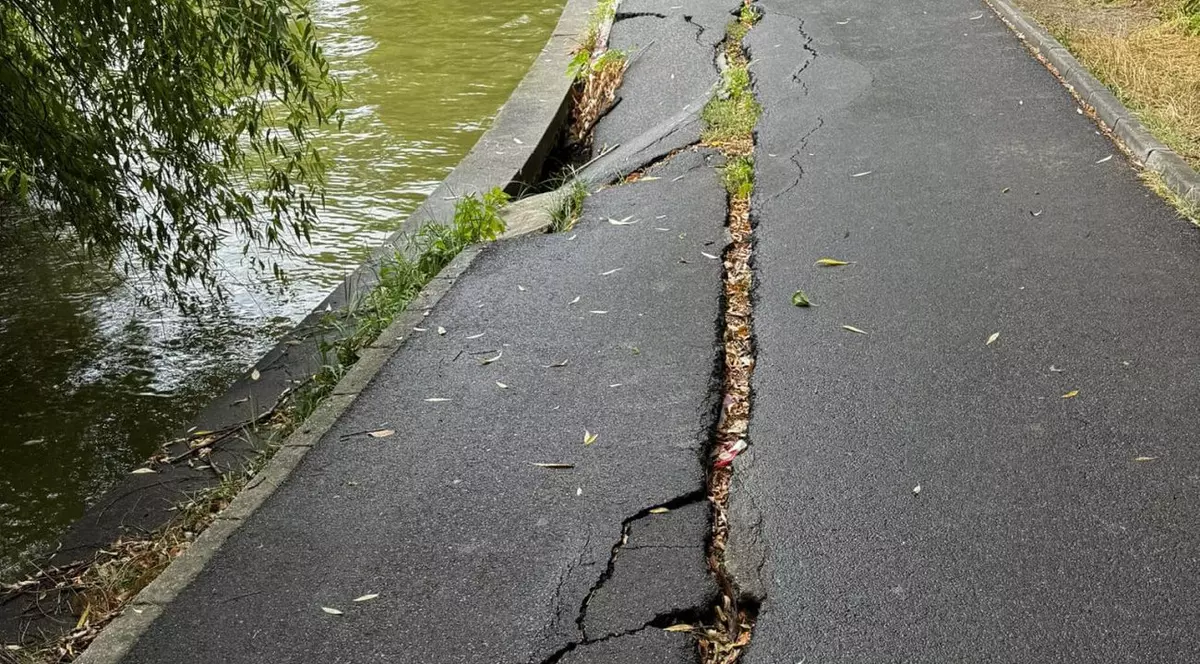 Așa arată acum multe alei din Parcul Herăstrău - Regele Mihai