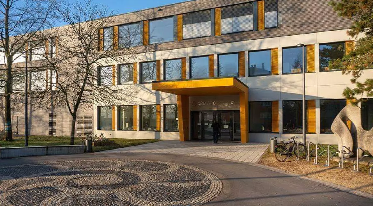 &#538;ara unde sunt cele mai atractive salarii pentru profesori